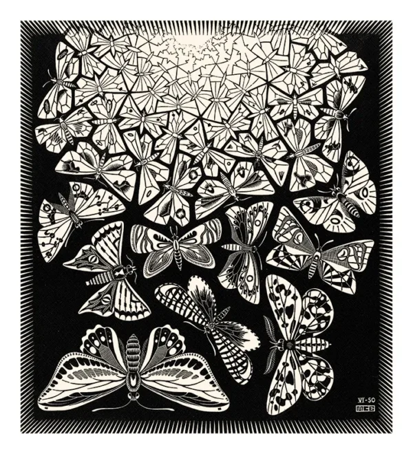 Butterflies